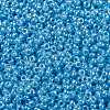 MIYUKI Round Rocailles Beads SEED-JP0010-RR0433-3