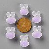 Transparent Acrylic Beads TACR-S152-12C-SS2114-3