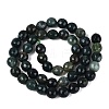 Natural Moss Agate Beads Strands G-Q606-42A-01-3