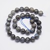 Natural Labradorite Round Bead Strands G-I156-01-10mm-2