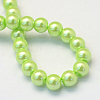 Baking Painted Pearlized Glass Pearl Round Bead Strands HY-Q003-10mm-07-4