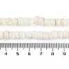 Natural Freshwater Shell  Beads Strands BSHE-H109-07-5