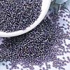 MIYUKI Round Rocailles Beads X-SEED-G007-RR1024-1