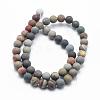 Natural Ocean Agate/Ocean Jasper Beads Strands G-G716-02-6mm-2