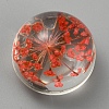 Transparent Glass Cabochons GLAA-WH0039-19G-1