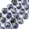 Natural Blue Spot Jasper Beads Strands G-P570-E19-02-2