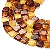 Natural Amber Beads Strands G-C260-A01-02-4