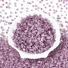 Transparent Inside Colours Glass Seed Beads SEED-T007-13J-1