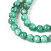 Natural Freshwater Shell Beads Strands BSHE-T009A-01J-3