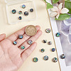 20Pcs 2 Styles Natural Abalone Shell/Paua Shell Beads Strands SSHEL-HY0001-10-3