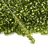 6/0 Glass Seed Beads X2-SEED-A005-4mm-24-4