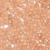 8/0 Glass Seed Beads SEED-Z001-C-E10-3