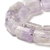 Natural Amethyst Beads Strands G-N327-06-04-4