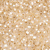 Glass Seed Beads SEED-N007-01I-3