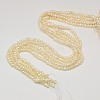 Grade AA Natural Cultured Freshwater Pearl Beads Strands LS-PEAR-L003-C-03-01-2