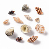Natural Conch Shell Pendants SSHEL-Q311-005-2