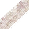Natural Fluorite Beads Strands G-K362-I11-06-1