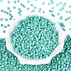 FGB Baking Paint Glass Seed Beads SEED-Q040-09A-13-2