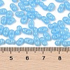 Baking Paint Glass Seed Beads SEED-L011-09A-06-4