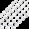 Natural Selenite Beads Strands G-L552H-16D-2