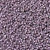 MIYUKI Delica Beads SEED-JP0008-DB1064-2