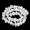 Natural Quartz Crystal Beads Strands GG-CBACF26-A01-01-3