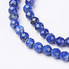 Natural Lapis Lazuli Beads Strands X-G-D165-B-2mm-3