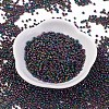 12/0 Glass Seed Beads X-SDB603-1