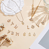 36Pcs 36 Styles Alloy Pendants ALRI-WR0001-01-4