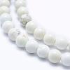 Natural Magnesite Beads Strands TURQ-G148-09-6mm-3
