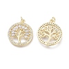 Brass Micro Pave Cubic Zirconia Pendants ZIRC-F114-02-G-2