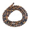Natural Tiger Eye Beads Strands G-C127-A06-06-5