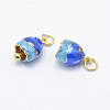 Electroplate Brass Enamel Charms LS-KK-F723-12G-RS-2