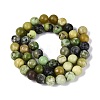 Natural Serpentine Beads Strands G-Q616-07C-3