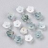 Frosted Transparent Acrylic Beads LS-X-OACR-N137-72L-2