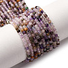 Natural Amethyst Lace Agate Bead Strands G-L629-B08-2mm-2
