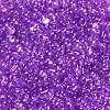 Glass Seed Beads SEED-L011-05B-03-3