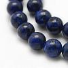 Natural Gemstone Beads Strands G-E394-02A-3