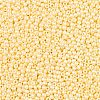 11/0 Grade A Baking Paint Glass Seed Beads X-SEED-N001-A-1034-3