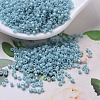 MIYUKI Delica Beads SEED-X0054-DB0217-1