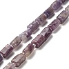 Natural Lepidolite/Purple Mica Stone Beads Strands G-K245-I16-01-1