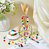 640Pcs 16 Colors Schima Wood Beads WOOD-DC0001-39-5