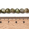 Natural Green Lepidolite Beads Strands G-K350-B01-6mm-5