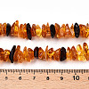 Natural Amber Beads Strands G-T138-235E-4