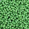 Baking Paint Glass Seed Beads X1-SEED-K010-A27-2