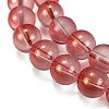 Frosted Transparent Glass Bead Strands GLAA-P065-10mm-06-4