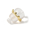 Natural Quartz Crystal Beads KK-D262-07G-2