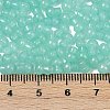 Transparent Colours Glass Seed Beads SEED-R001-01Q-4