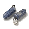 Natural Blue Spot Jasper Pendants G-Z067-07P-12-2