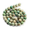 Natural Peruvian Turquoise(Jasper) Beads Strands G-Z062-A01-02-3